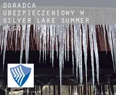 Doradca ubezpieczeniowy w  Silver Lake Summer Resort