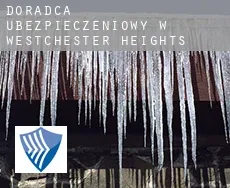 Doradca ubezpieczeniowy w  Westchester Heights