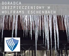 Doradca ubezpieczeniowy w  Wolframs-Eschenbach