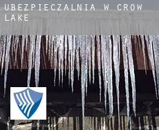 Ubezpieczalnia w  Crow Lake