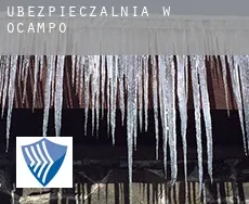 Ubezpieczalnia w  Ocampo
