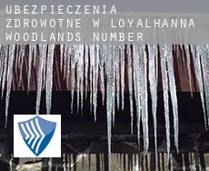 Ubezpieczenia zdrowotne w  Loyalhanna Woodlands Number 1