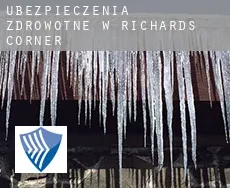 Ubezpieczenia zdrowotne w  Richards Corner