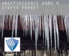 Ubezpieczenie domu w  Stevys Forest