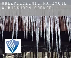 Ubezpieczenie na życie w  Buckhorn Corner