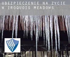 Ubezpieczenie na życie w  Iroquois Meadows