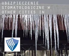 Ubezpieczenie stomatologiczne w  Other cities in Tamaulipas