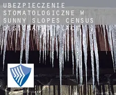 Ubezpieczenie stomatologiczne w  Sunny Slopes