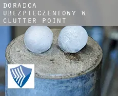 Doradca ubezpieczeniowy w  Clutter Point