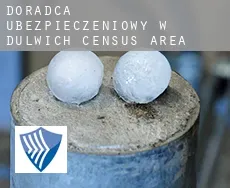 Doradca ubezpieczeniowy w  Dulwich (census area)