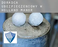 Doradca ubezpieczeniowy w  Holland Manor