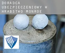 Doradca ubezpieczeniowy w  Hrabstwo Monroe