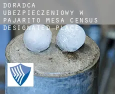 Doradca ubezpieczeniowy w  Pajarito Mesa