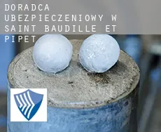 Doradca ubezpieczeniowy w  Saint-Baudille-et-Pipet