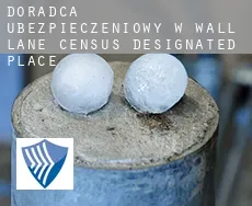 Doradca ubezpieczeniowy w  Wall Lane