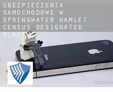 Ubezpieczenia samochodowe w  Springwater Hamlet