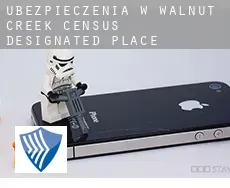 Ubezpieczenia w  Walnut Creek