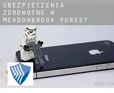Ubezpieczenia zdrowotne w  Meadowbrook Forest