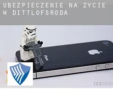 Ubezpieczenie na życie w  Dittlofsroda