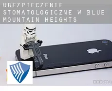 Ubezpieczenie stomatologiczne w  Blue Mountain Heights