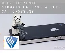 Ubezpieczenie stomatologiczne w Pole Cat Crossing
