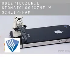 Ubezpieczenie stomatologiczne w  Schlipfham