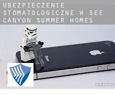 Ubezpieczenie stomatologiczne w  See Canyon Summer Homes