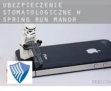 Ubezpieczenie stomatologiczne w  Spring Run Manor