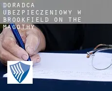 Doradca ubezpieczeniowy w  Brookfield on the Magothy