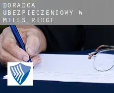 Doradca ubezpieczeniowy w  Mills Ridge