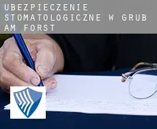 Ubezpieczenie stomatologiczne w  Grub am Forst