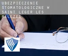 Ubezpieczenie stomatologiczne w  Saint-Léger-les-Mélèzes
