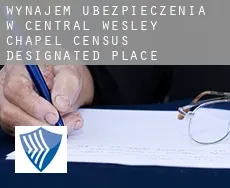 Wynajem ubezpieczenia w Central Wesley Chapel