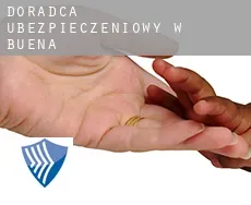 Doradca ubezpieczeniowy w  Buena