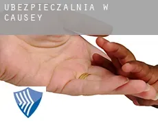 Ubezpieczalnia w  Causey