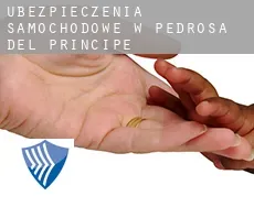 Ubezpieczenia samochodowe w  Pedrosa del Príncipe