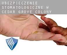 Ubezpieczenie stomatologiczne w  Cedar Grove Colony