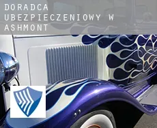 Doradca ubezpieczeniowy w  Ashmont