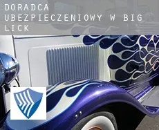Doradca ubezpieczeniowy w  Big Lick
