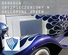 Doradca ubezpieczeniowy w  Galloping Green