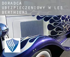 Doradca ubezpieczeniowy w  Les Berthiers