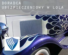 Doradca ubezpieczeniowy w  Lola