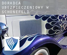 Doradca ubezpieczeniowy w  Schönefeld