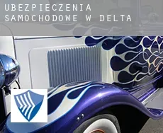 Ubezpieczenia samochodowe w  Delta