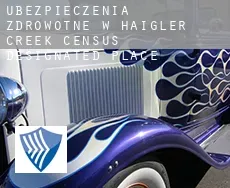 Ubezpieczenia zdrowotne w  Haigler Creek