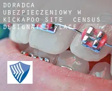 Doradca ubezpieczeniowy w  Kickapoo Site 1