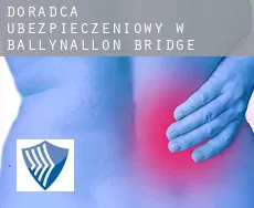 Doradca ubezpieczeniowy w  Ballynallon Bridge