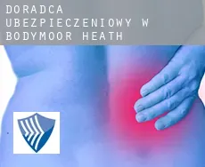 Doradca ubezpieczeniowy w  Bodymoor Heath