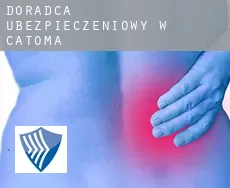 Doradca ubezpieczeniowy w  Catoma