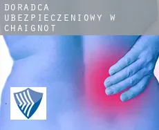 Doradca ubezpieczeniowy w  Chaignot